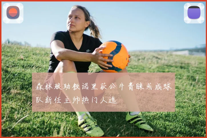 森林狼助教诺里获公牛青睐或成球队新任主帅热门人选